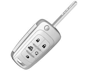 With Remote Start Shown