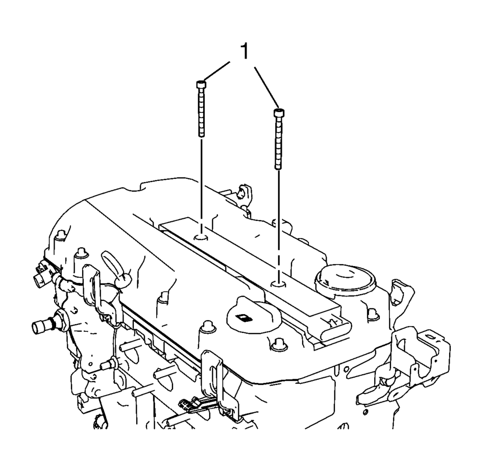 Remove the 2 ignition coil bolts (1).