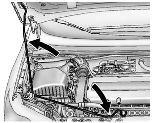 3. Lift the hood and release the hood prop from its retainer, located in front